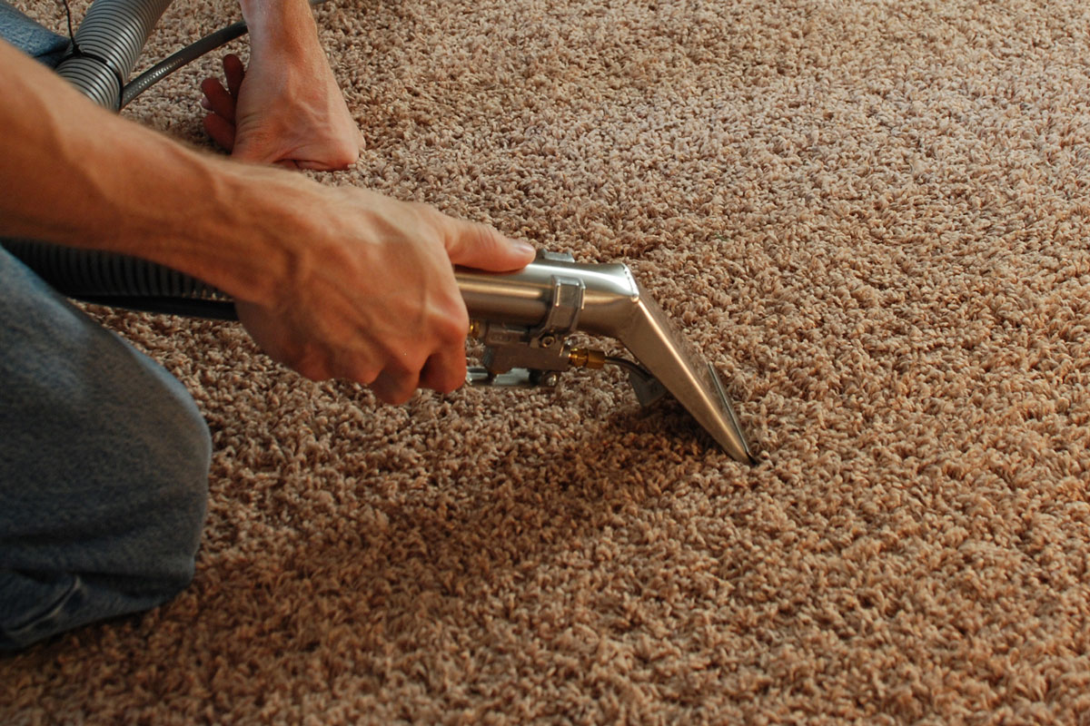 Croft Carpets Get the Best Carpet Maintenance Advice Lincolnshire